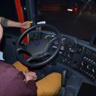 Fotka nr 5 z 12