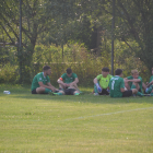zdjęcie nr 12