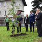 zdjęcie nr 31