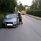 Fotka nr 2 z 5
