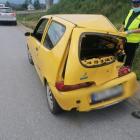 Fotka nr 2 z 7