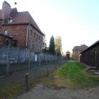 zdjęcie nr 31