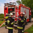 Fotka nr 2 z 12