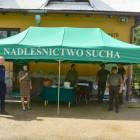 zdjęcie nr 43
