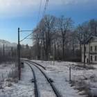 Fotka nr 2 z 3