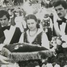 Fotka nr 4 z 37