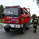 Fotka nr 5 z 7