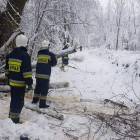 Foto. małopolska alarmowo