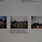 zdjęcie nr 45