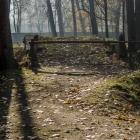 zdjęcie nr 12