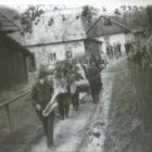 zdjęcie nr 7