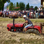zdjęcie nr 151