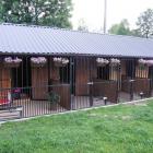 zdjęcie nr 8