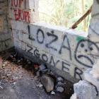 Fotka nr 4 z 11
