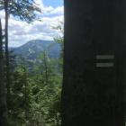 Fotka nr 0 z 15