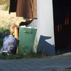 zdjęcie nr 10