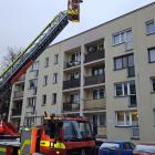 Fotka nr 5 z 9