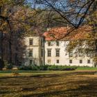zdjęcie nr 9