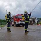 Fotka nr 4 z 19