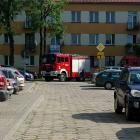 zdjęcie nr 17