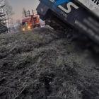 Fotka nr 5 z 12