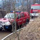 Fotka nr 2 z 11