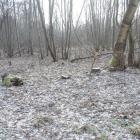 Fotka nr 1 z 8