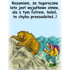 Fotka nr 0 z 11