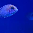 zdjęcie nr 11