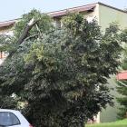 zdjęcie nr 32