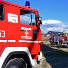 Fotka nr 4 z 12