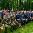 zdjęcie nr 75