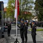 zdjęcie nr 7
