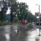 zdjęcie nr 9