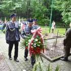 zdjęcie nr 58