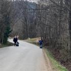 zdjęcie nr 13