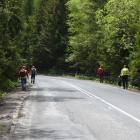 zdjęcie nr 31