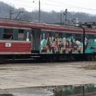 Fotka nr 3 z 4