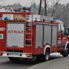 Fotka nr 4 z 5