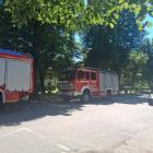 Fotka nr 2 z 5