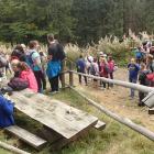 zdjęcie nr 15