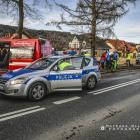 Fotka nr 5 z 6