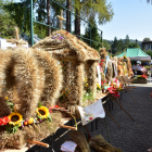zdjęcie nr 51