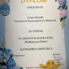 zdjęcie nr 12