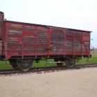 zdjęcie nr 17