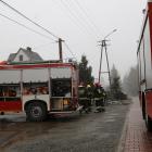 Fotka nr 2 z 15