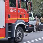 Fotka nr 4 z 11