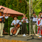 zdjęcie nr 158
