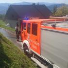 Fotka nr 1 z 5