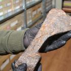 Fotka nr 1 z 4